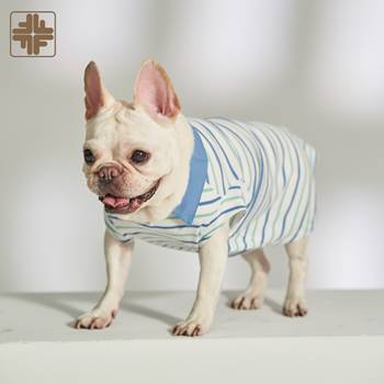 Customize Puppies Woven-collared Mint Stripe Top Manufacturer