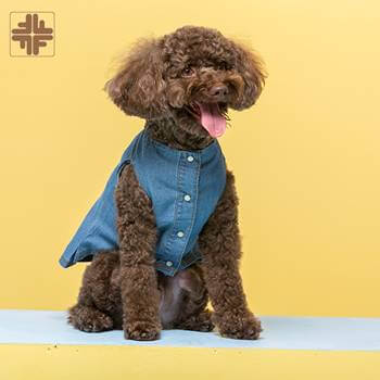 Oem Summer Fancy Knitted Pet Dress Dog Denim Vest